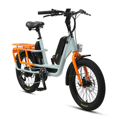 TXED Dual Battery Electric Cargo Bike: Long Range, Family-Friendly, 7-Speed, 250W