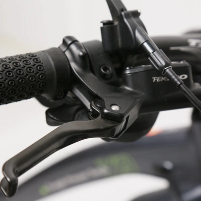 TXED 750W BAFANG Electric Mountain Bike, 48V High-Speed E-MTB, 9-Speed Suspension