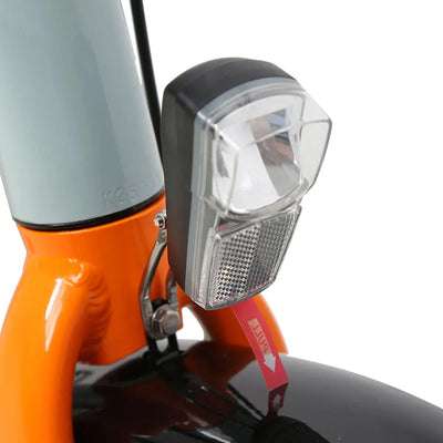TXED Dual Battery Electric Cargo Bike: Long Range, Family-Friendly, 7-Speed, 250W