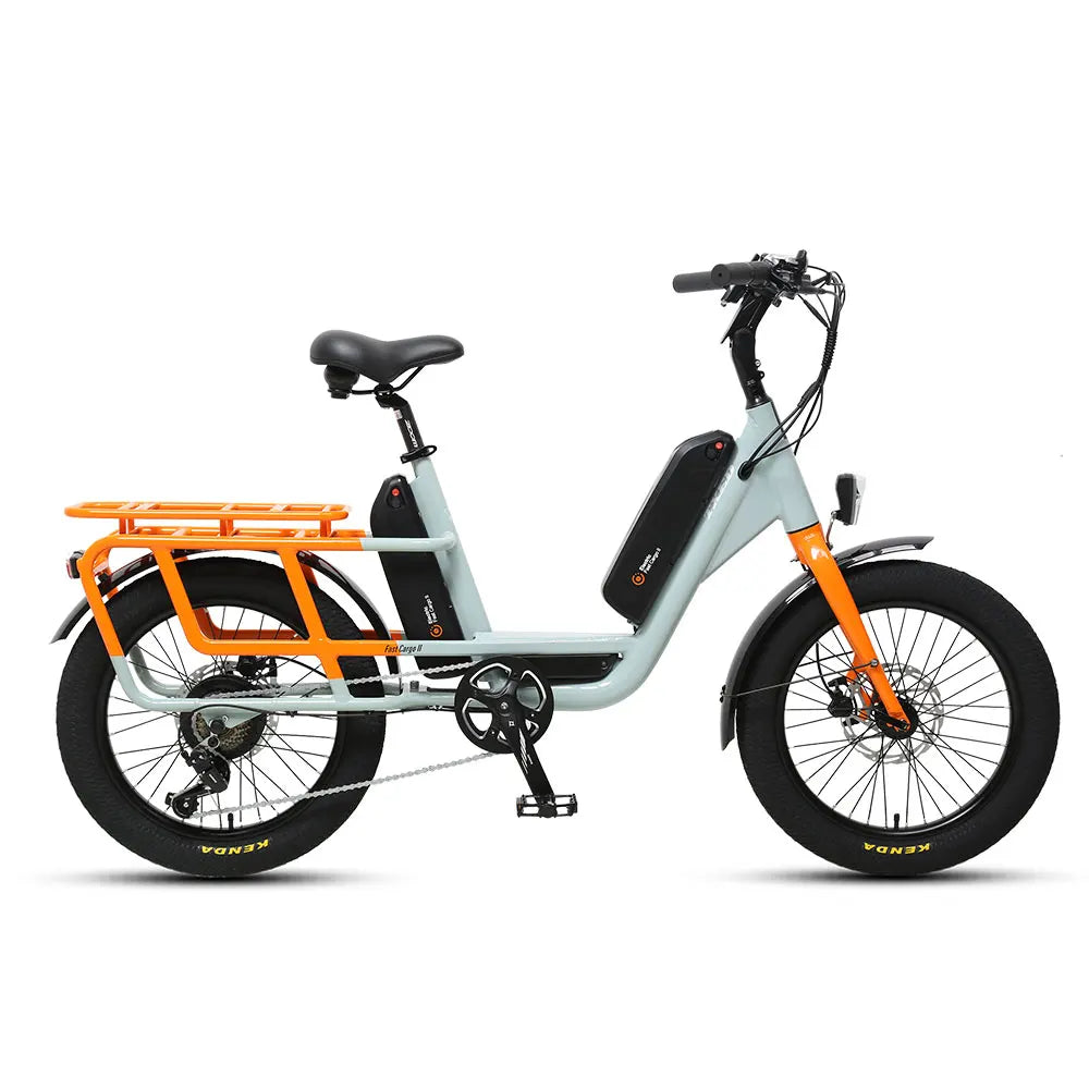 TXED Dual Battery Electric Cargo Bike: Long Range, Family-Friendly, 7-Speed, 250W