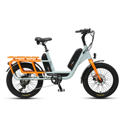 TXED Dual Battery Electric Cargo Bike: Long Range, Family-Friendly, 7-Speed, 250W