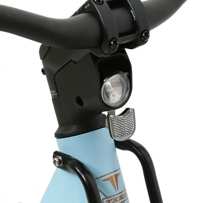 TXED 250W Electric City Bike: Integrated Display, Belt Drive, Urban Commuter