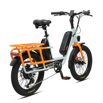 TXED Dual Battery Electric Cargo Bike: Long Range, Family-Friendly, 7-Speed, 250W