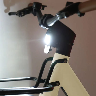 TXED Urban E-Bike: 250W Motor, Quiet Belt Drive, LCD Display, Smart City Ride